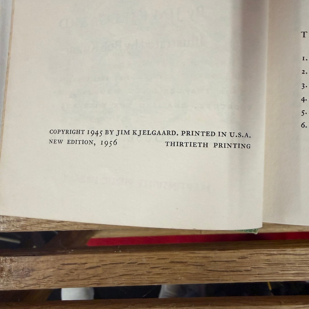 Holiday House Big Red Jim Kjelgaard VTG Hardcover Cabincore Irish Setter Book - Picture 7 of 11